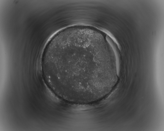 X0000085220972200703301700