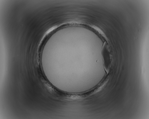 X0000085220974200703301700