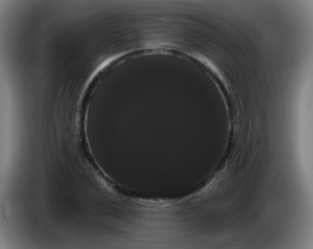 X0000085220975200703301700