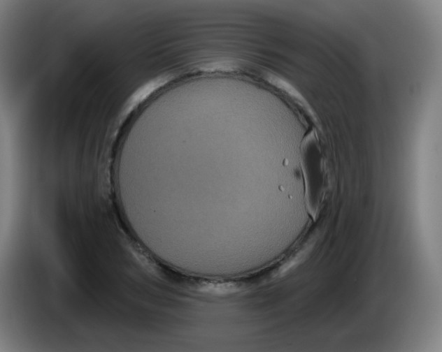 X0000085220978200703301659