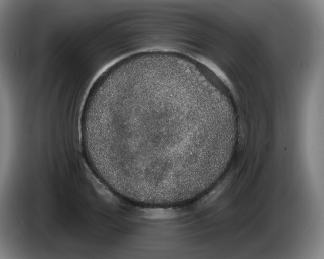 X0000085220980200703301659