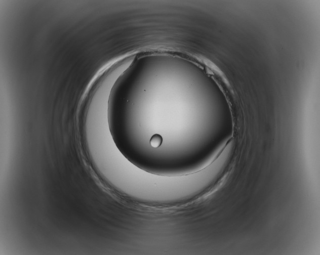 X0000085220981200703301659