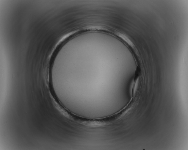 X0000085220984200703301659