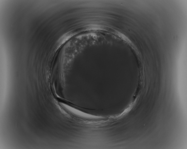 X0000085220985200703301659