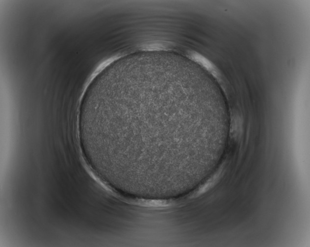 X0000085220986200703301659