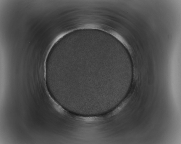 X0000085220988200703301659