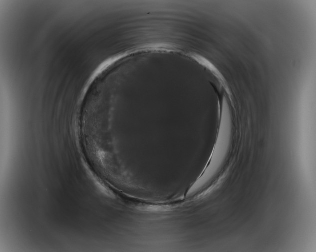 X0000085220989200703301659