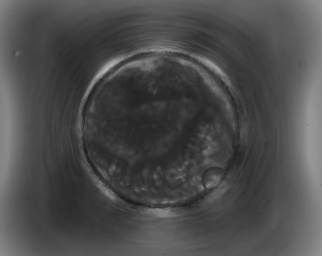 X0000085220990200703301659