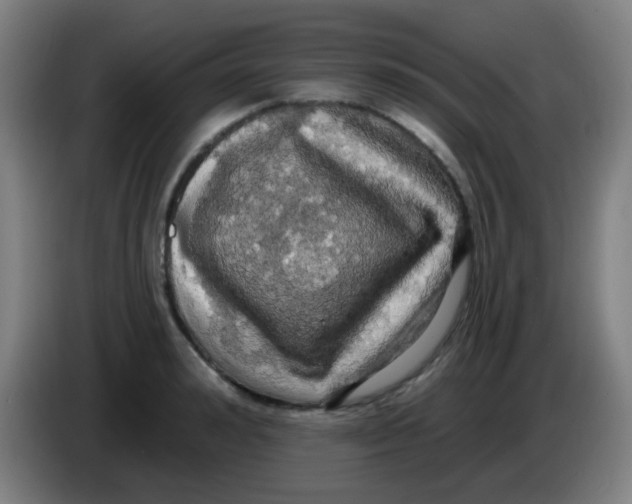 X0000085220992200703301659