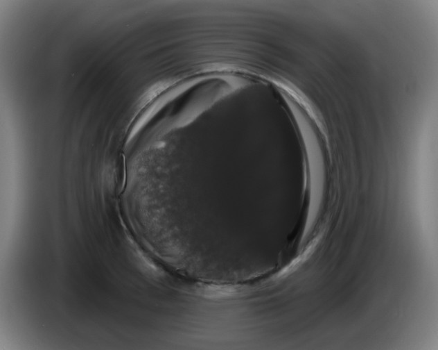 X0000085220993200703301659