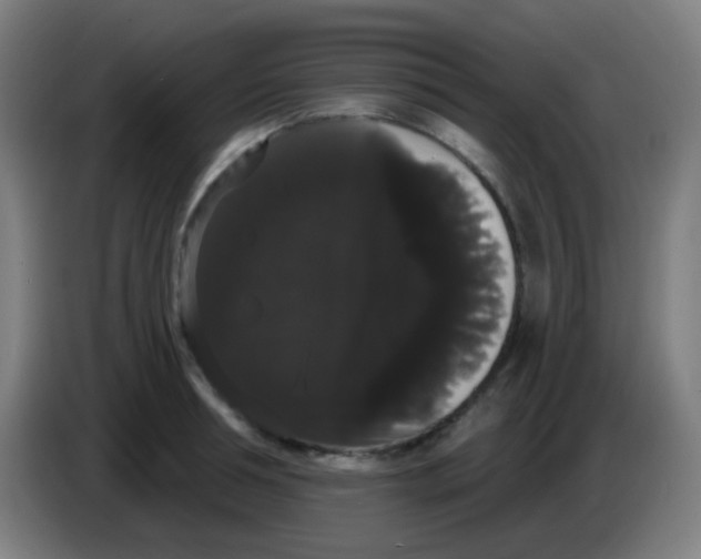 X0000085220994200703301659