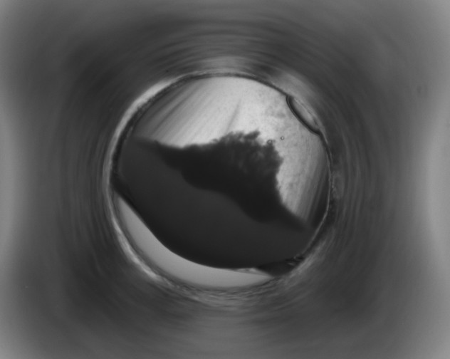 X0000085220995200703301659
