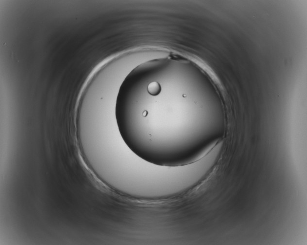 X0000085220996200703301659