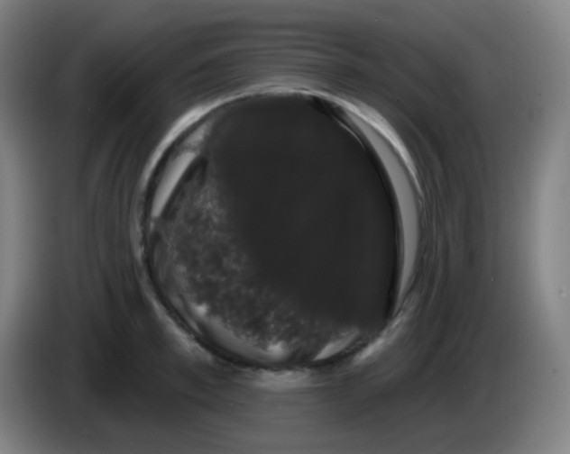 X0000085220997200703301659