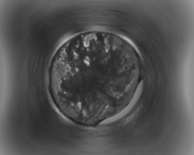 X0000085220999200703301659