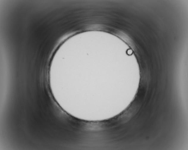 X0000085221000200703301659