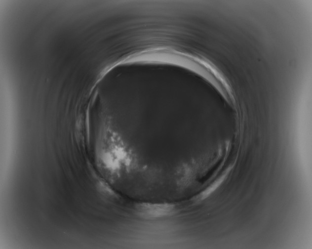 X0000085221001200703301659