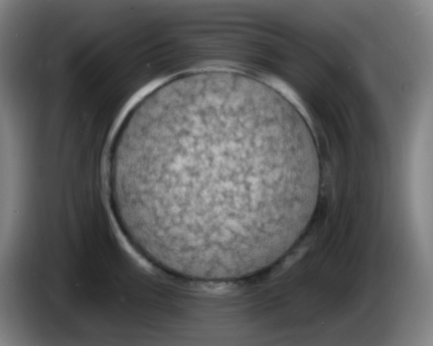 X0000085221003200703301659