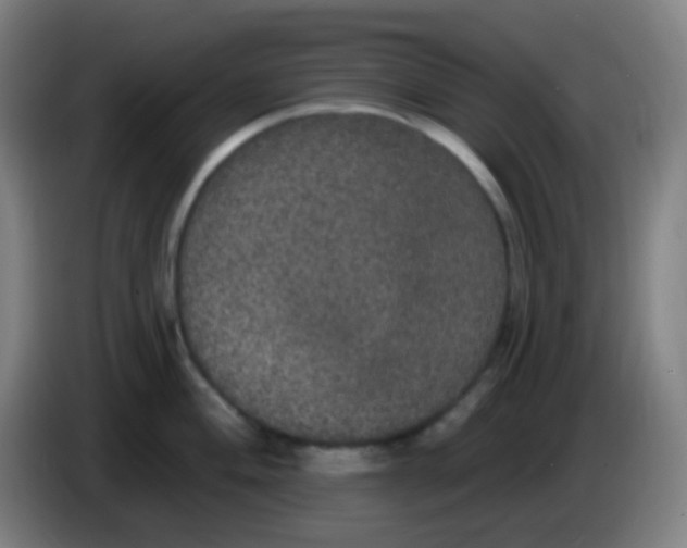 X0000085221004200703301659