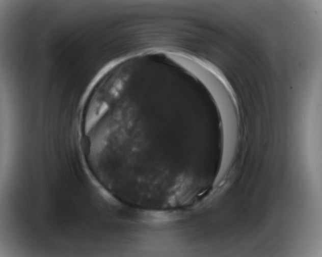 X0000085221005200703301659