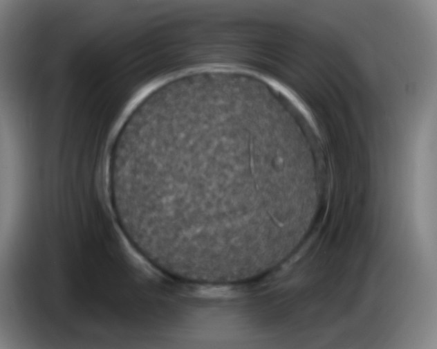 X0000085221006200703301659