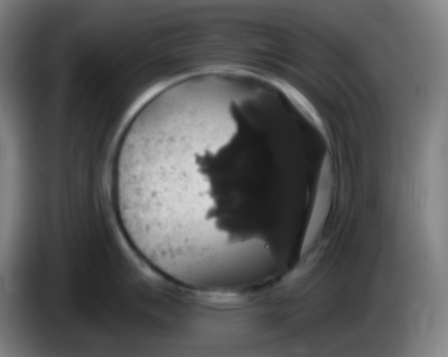 X0000085221007200703301659