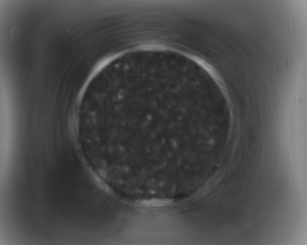 X0000085221008200703301659