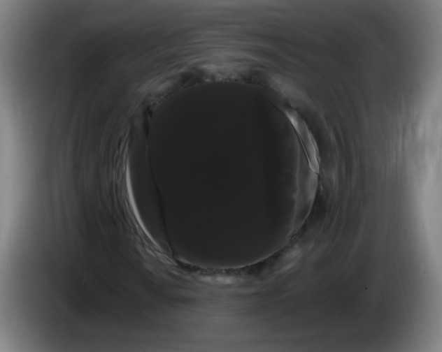 X0000085221010200703301658