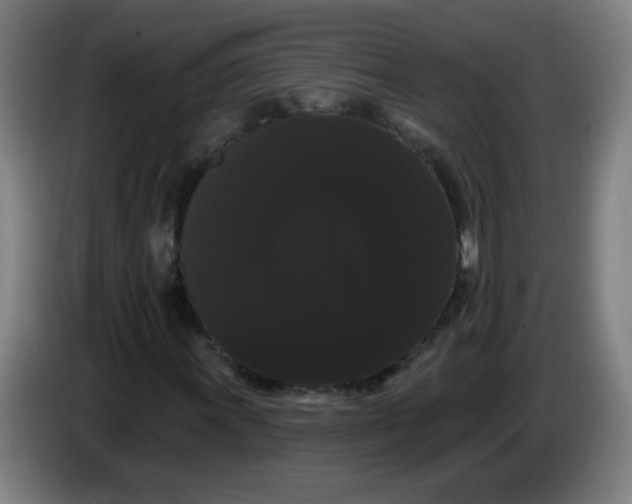 X0000085221011200703301658