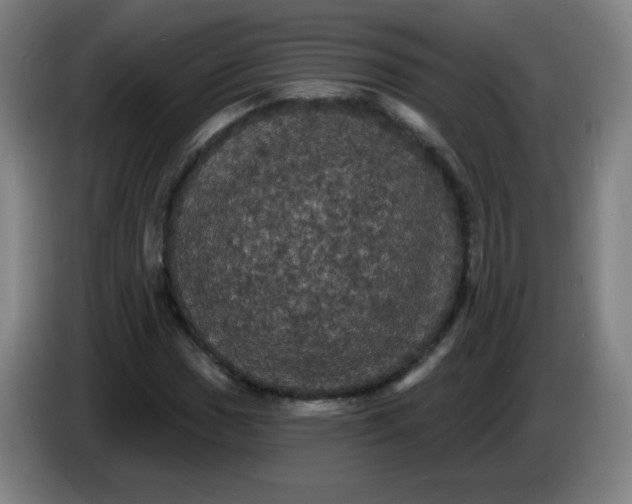 X0000085221017200703301659