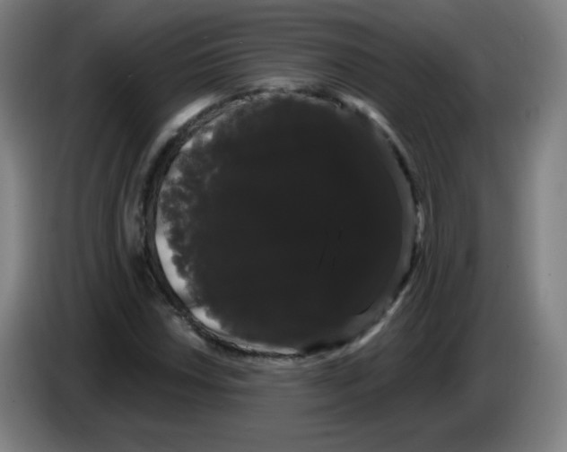 X0000085221018200703301659