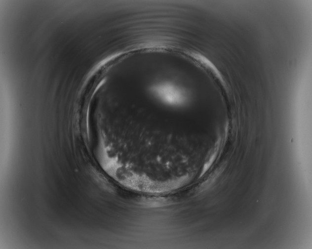 X0000085221019200703301659