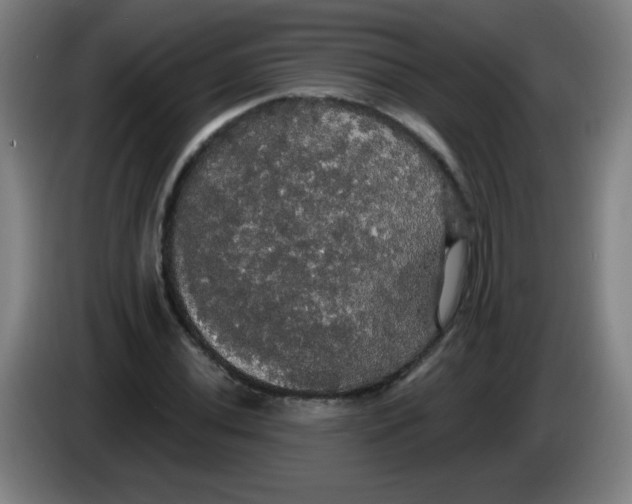 X0000085221020200703301659