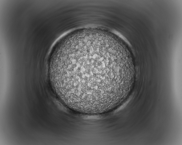 X0000085221021200703301659