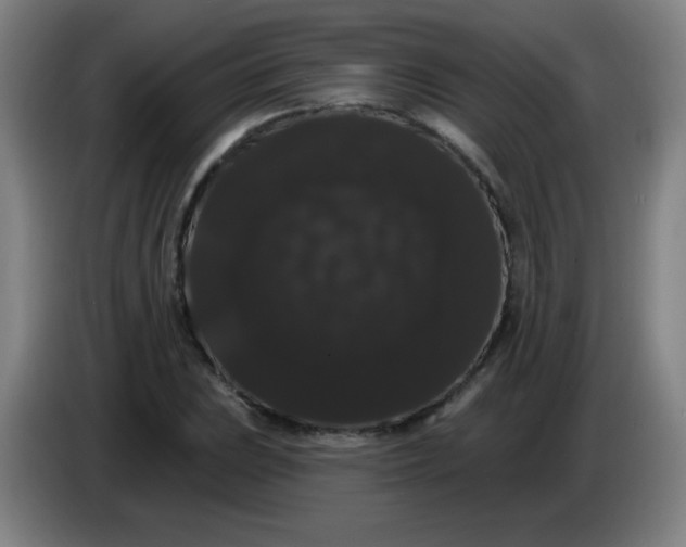 X0000085221023200703301659