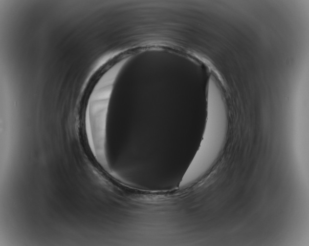 X0000085221024200703301659