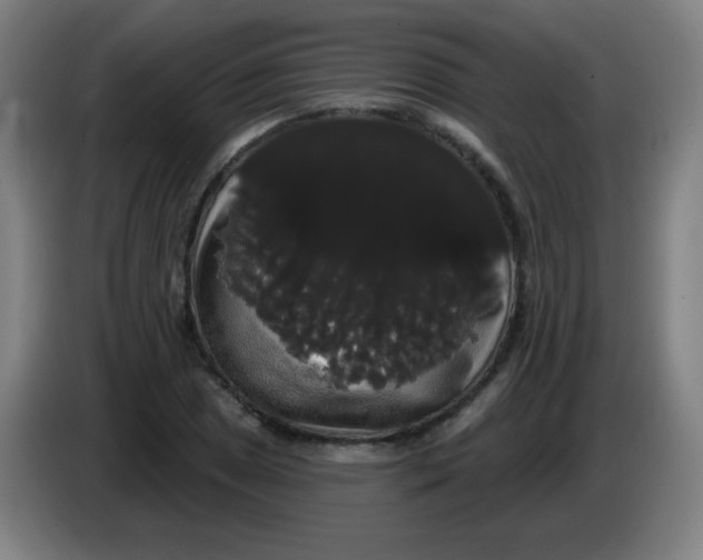X0000085221025200703301659