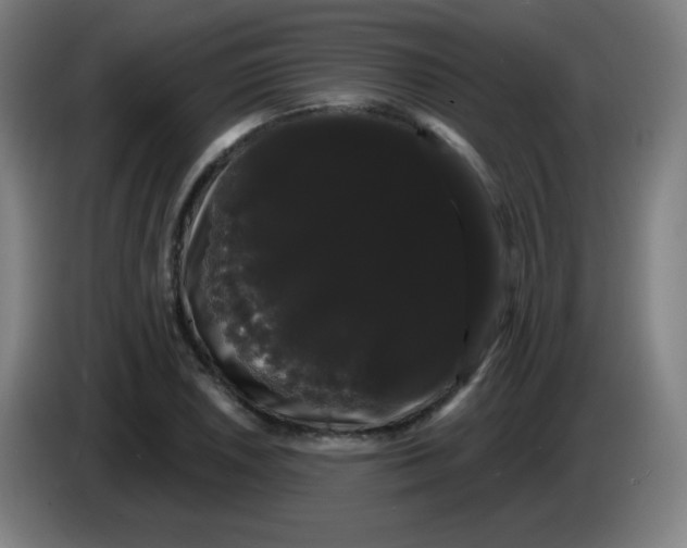 X0000085221026200703301659