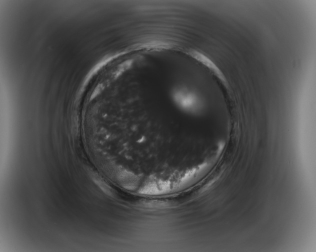 X0000085221027200703301659