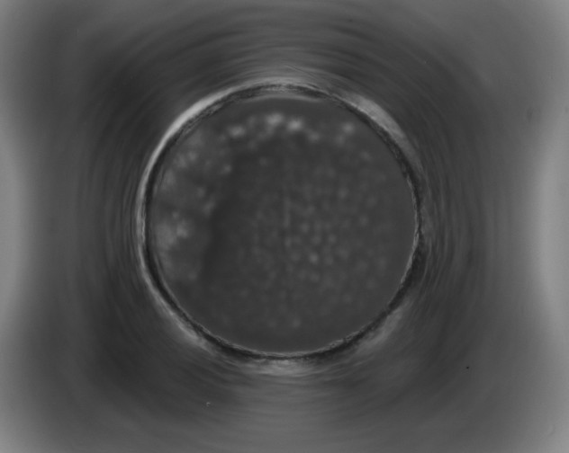 X0000085221028200703301659