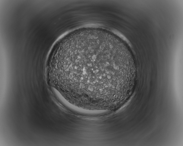 X0000085221029200703301659