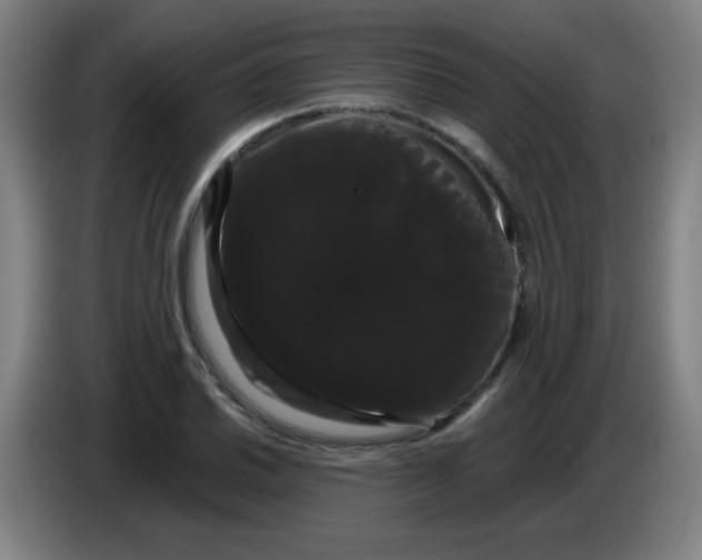 X0000085221030200703301659