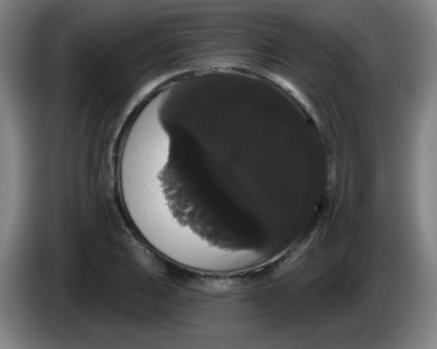 X0000085221031200703301659