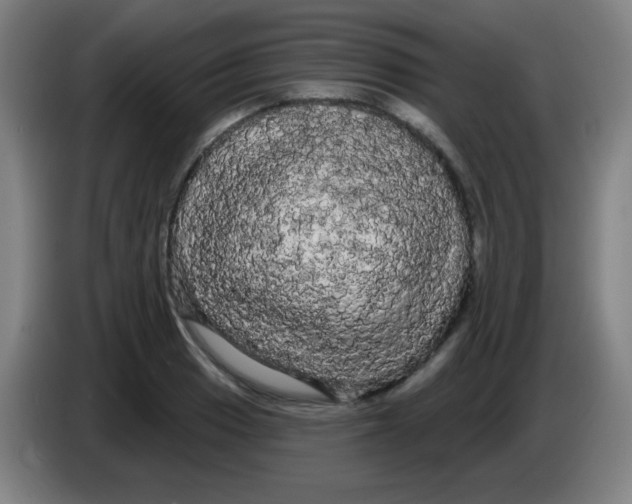X0000085221033200703301659