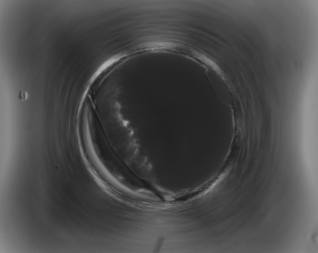 X0000085221034200703301659