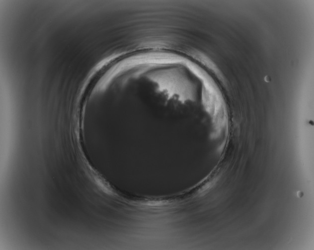 X0000085221035200703301659