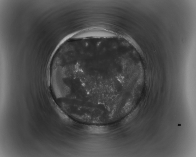 X0000085221036200703301659