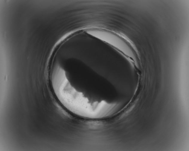 X0000085221037200703301659