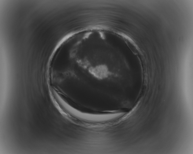 X0000085221038200703301659