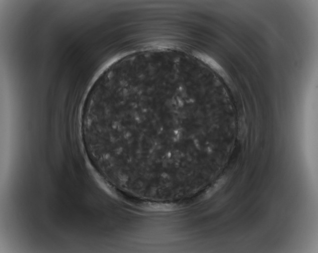 X0000085221039200703301659